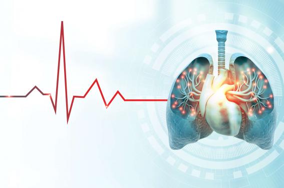 Hypertension pulmonaire de l'enfant | Cardiologie Pratique